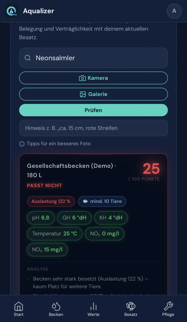 Besatzberater: Verträglichkeits-Check für Neonsalmler mit Auslastung und Mindestgruppengröße